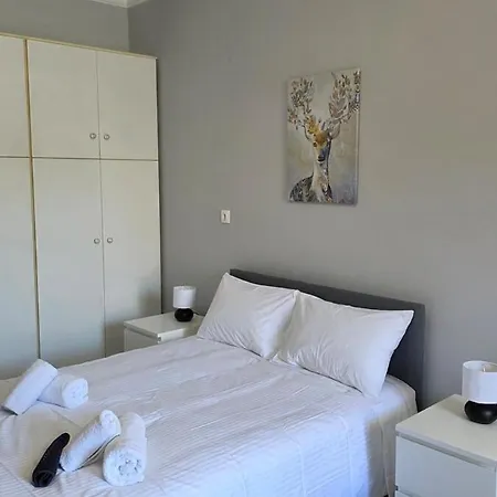 Cozy 6 *